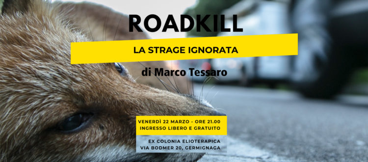 Roadkill - La strage ignorata