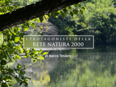 Rete Natura 2000 Torino